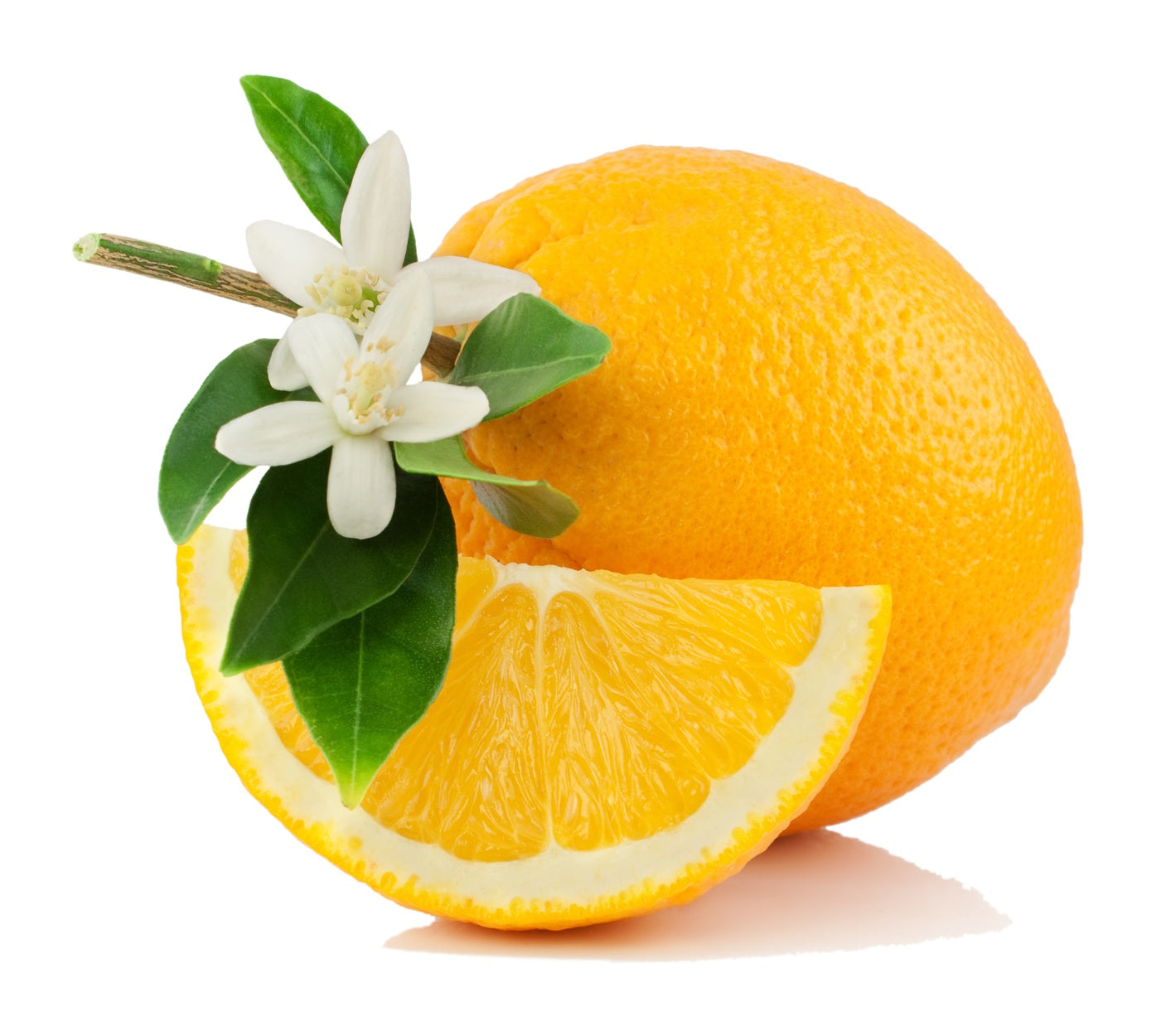 Replenishing Facial Elixir with Helichrysum, Neroli and