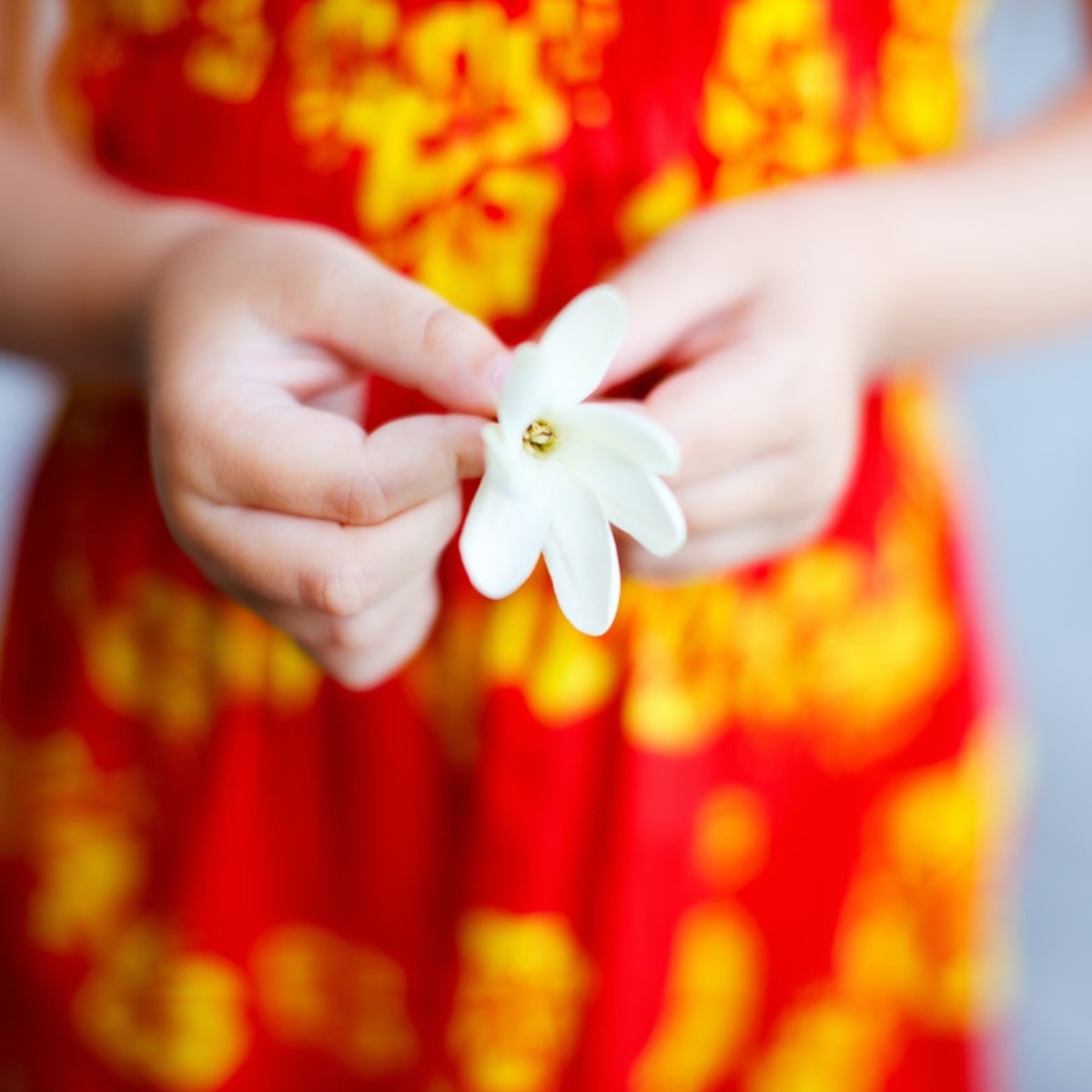 Cosmic Tree Essentials Gift Card