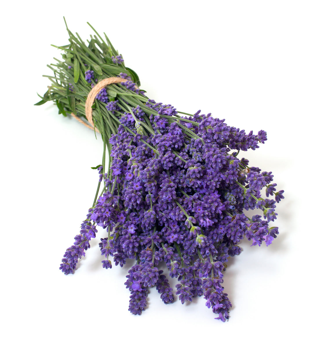Replenishing Facial Elixir with Helichrysum, Neroli and